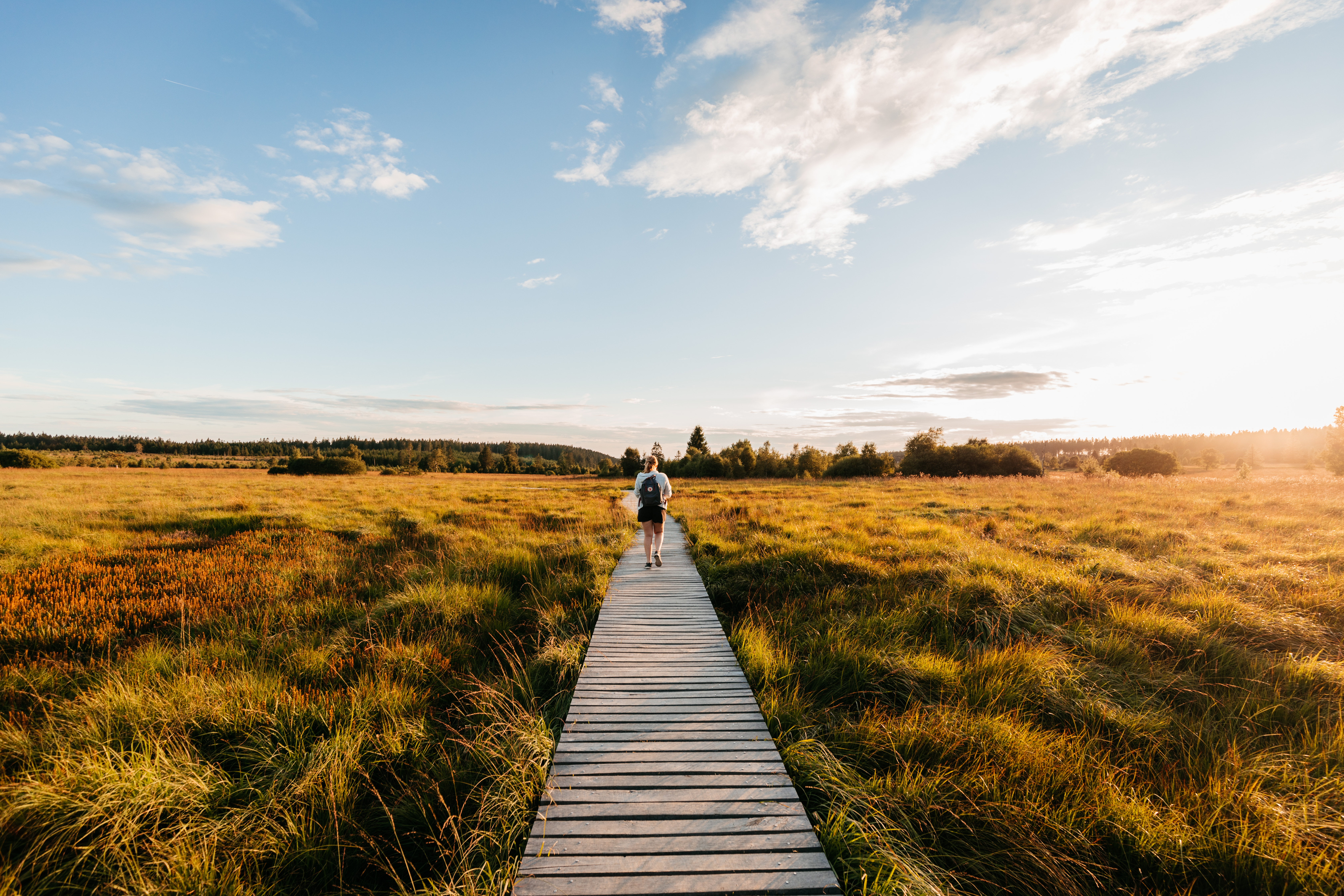 Balade sur pilotis dans les Hautes Fagnes