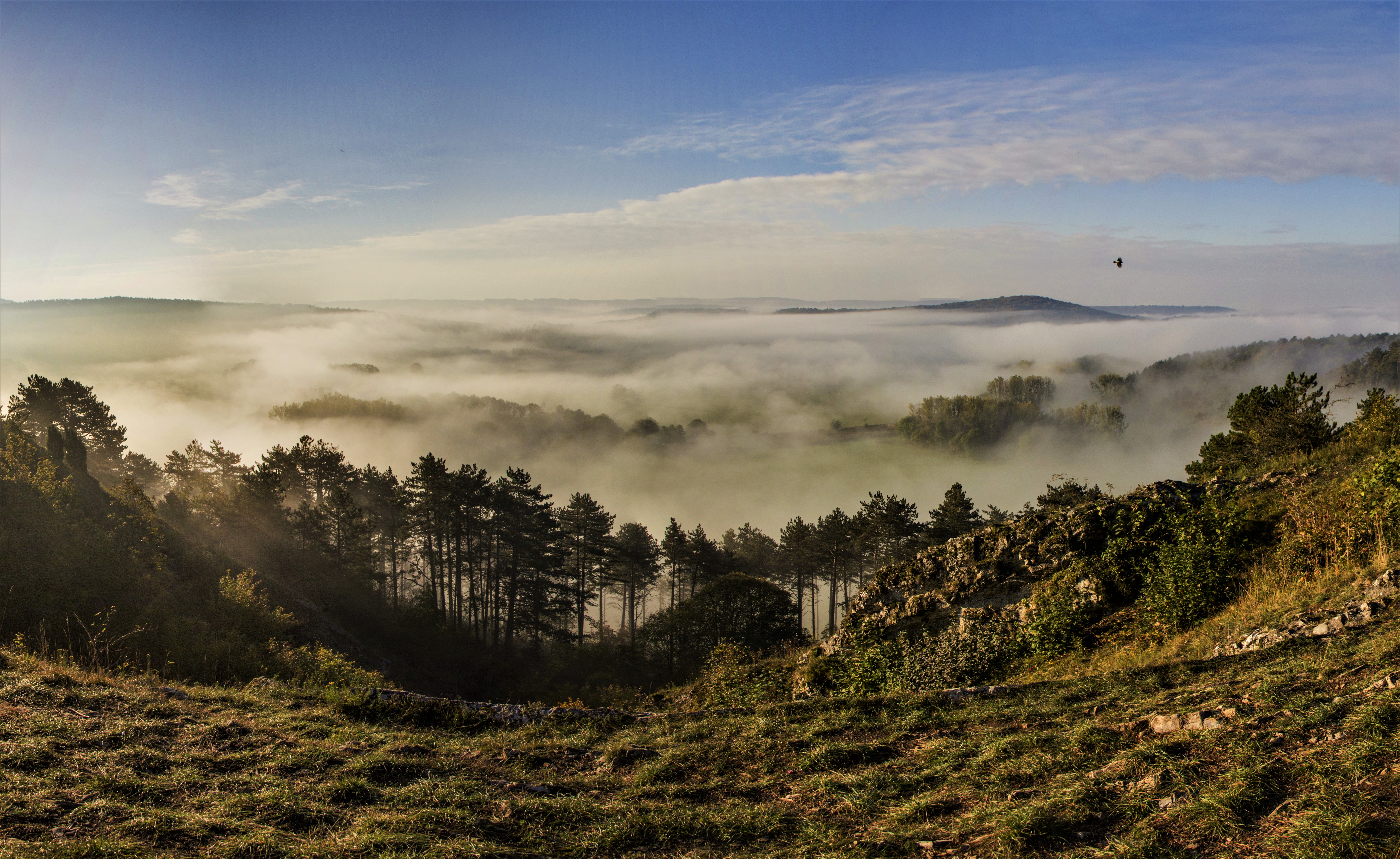 Belvédère brume