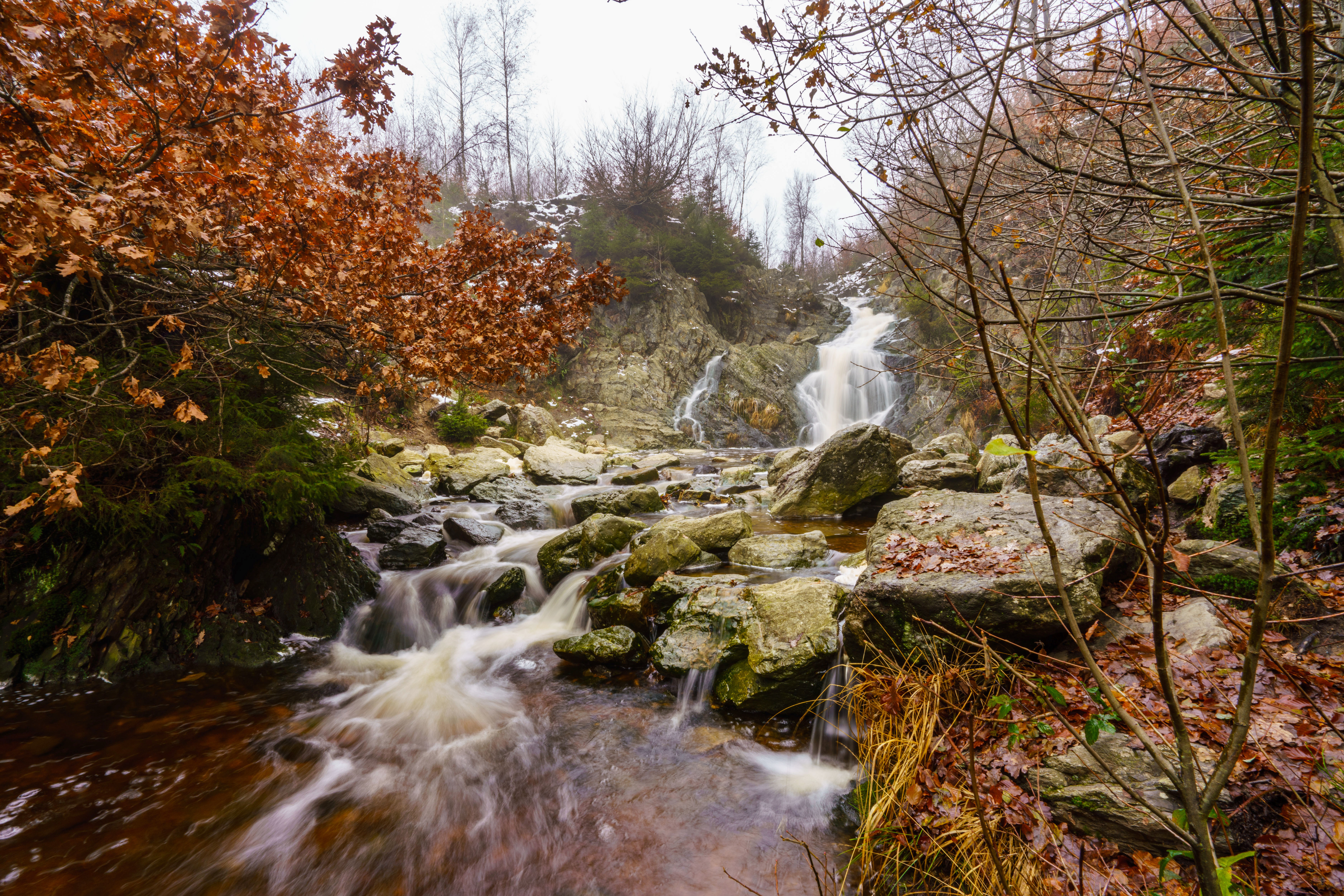 Cascade du Bayehon