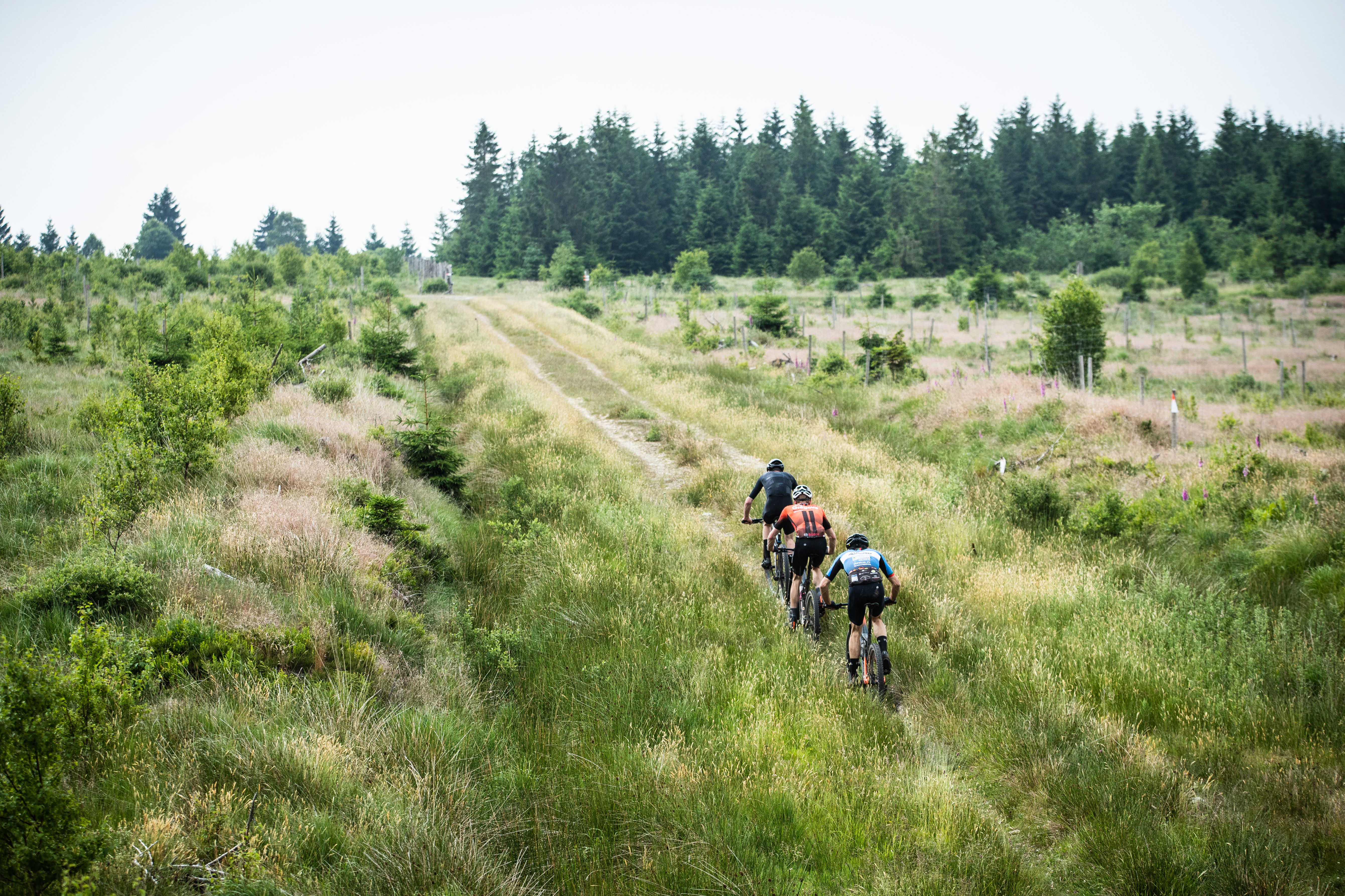 Raid des Hautes Fagnes