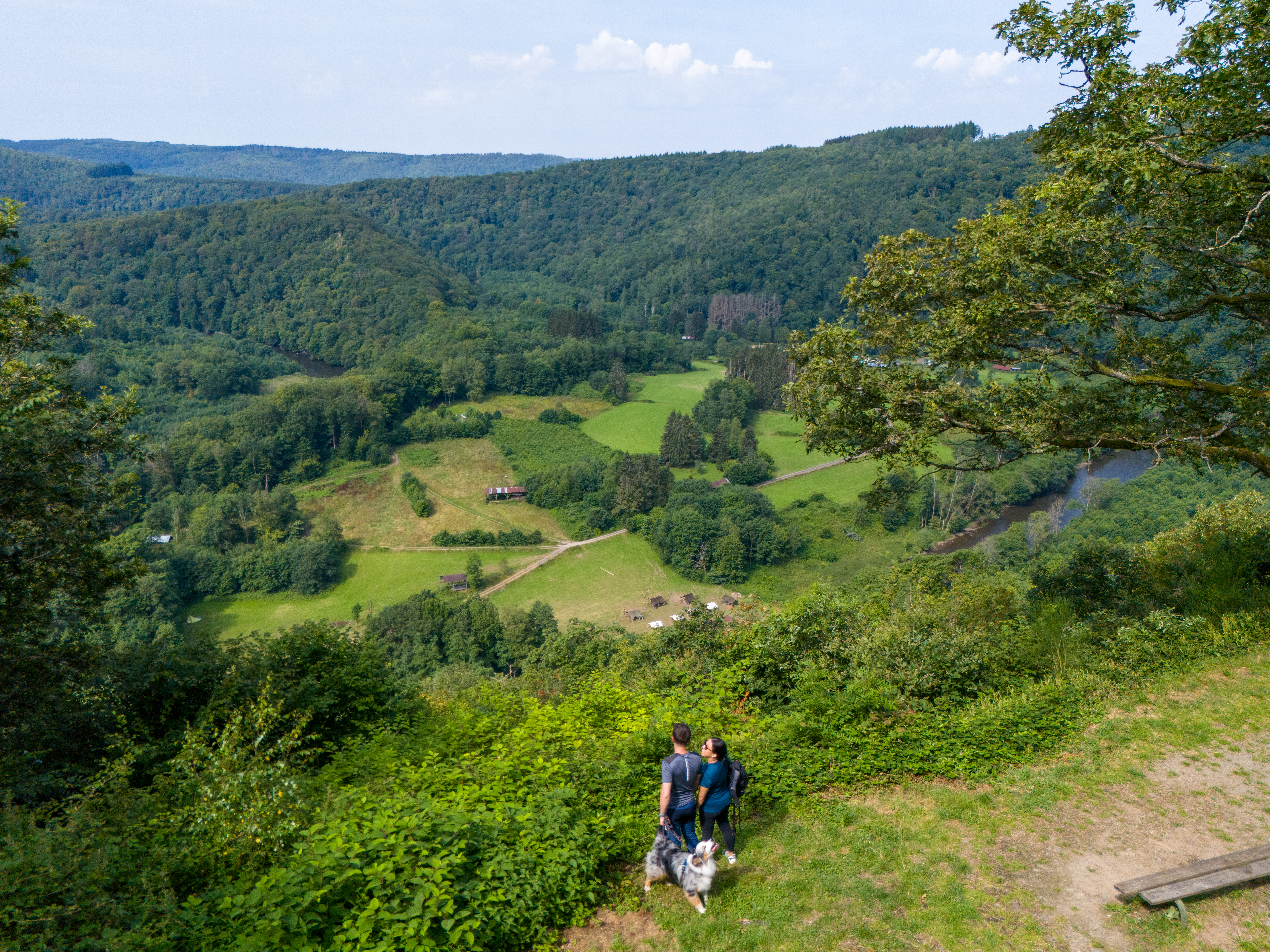 Le point de vue du Jambon - La Wallonie avec son chien