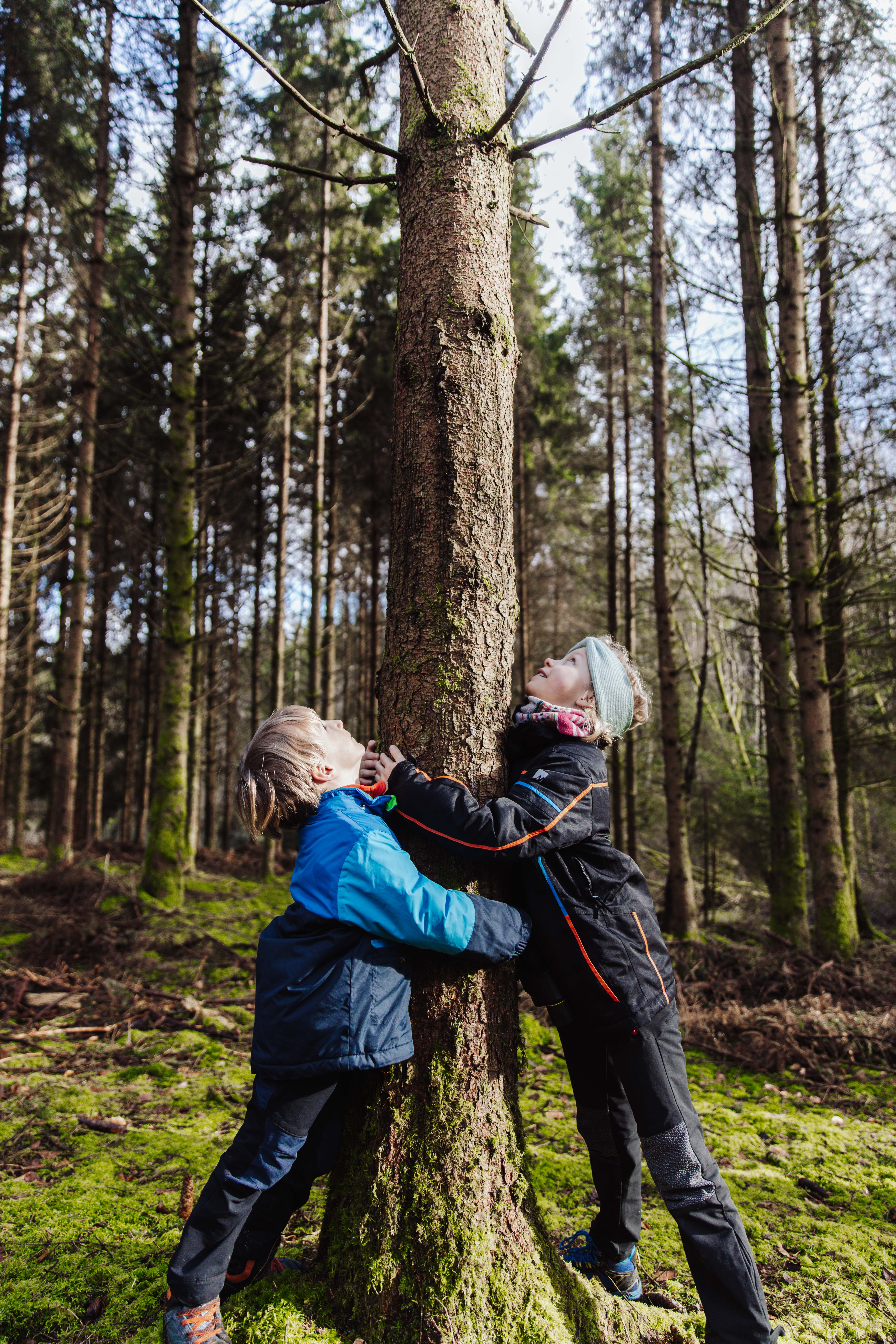 Enfant faisant un calin aux arbres - Bain de forêt
