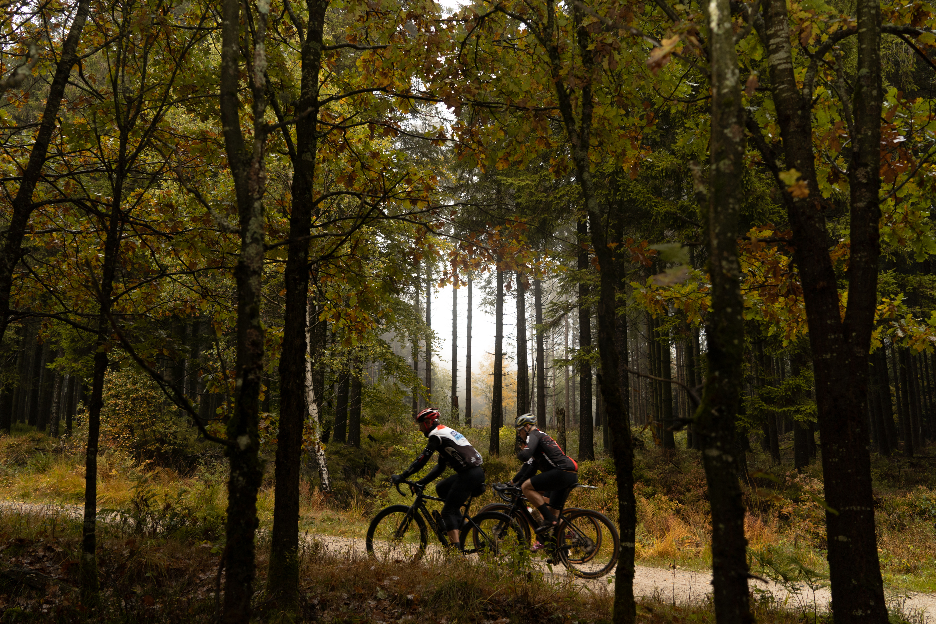 Gravel Hautes Fagnes