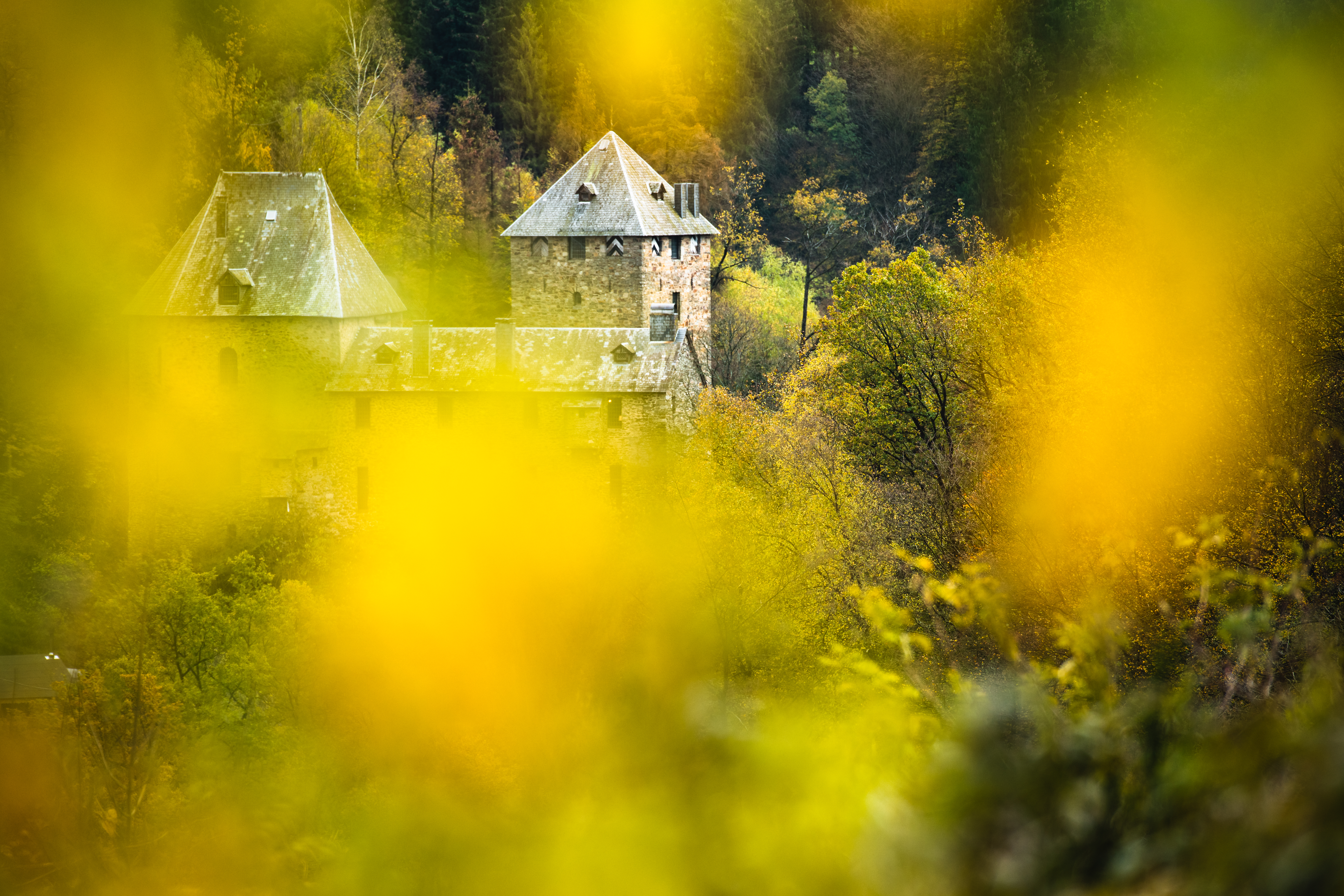 Château de Reinhardstein