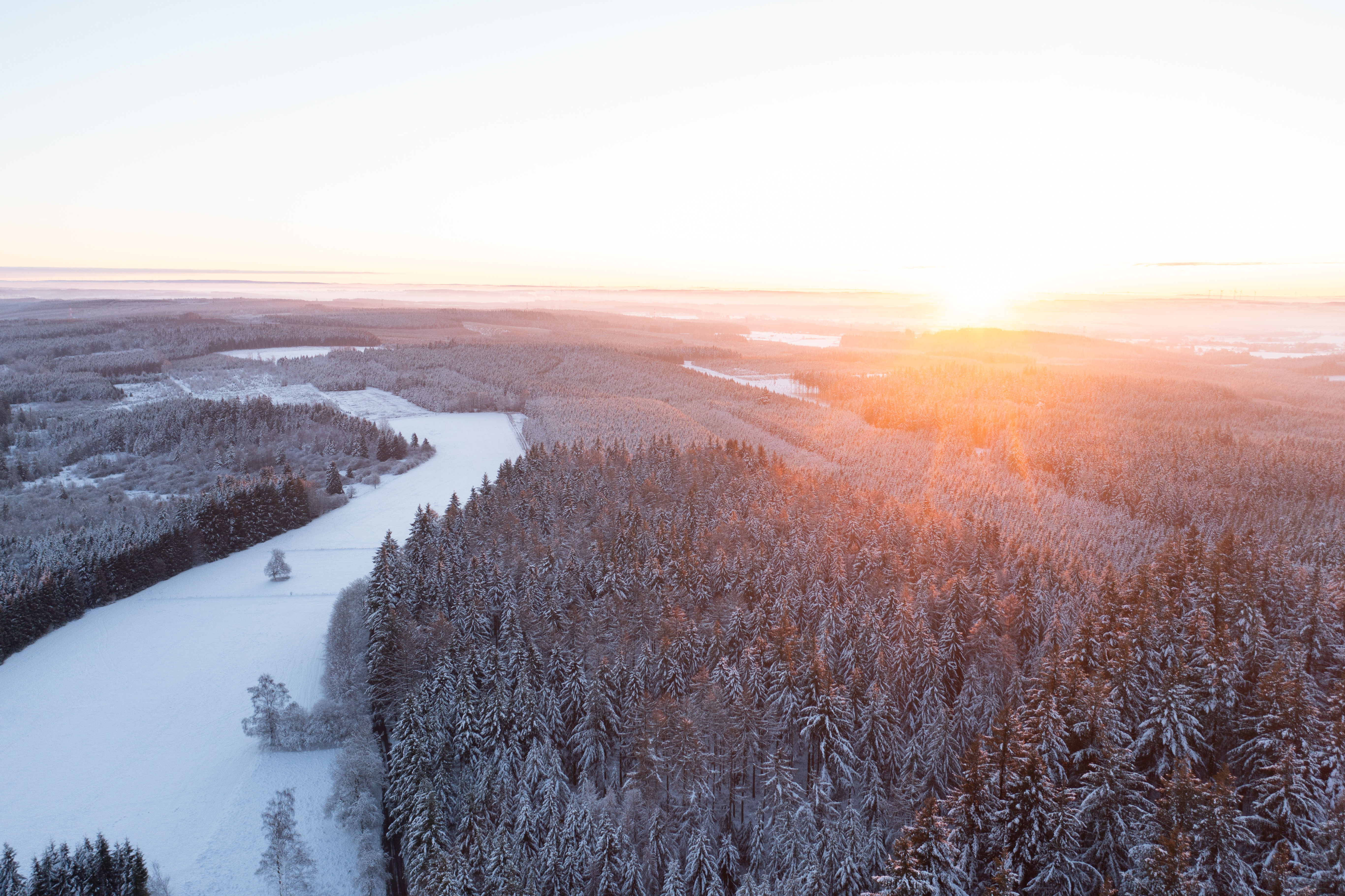 Plateau des Tailles sous la neige
