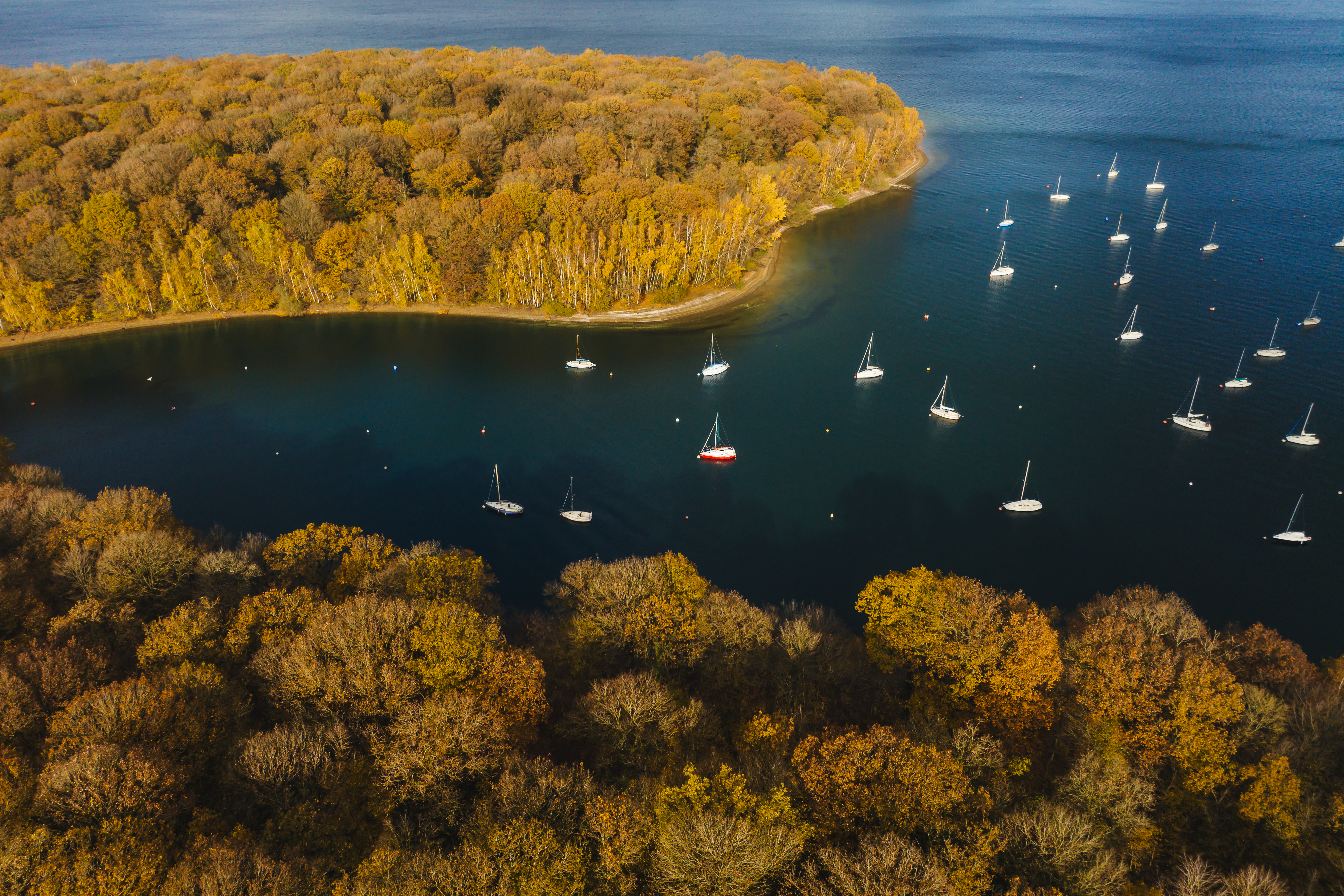 Parc national de l'entre-membre et Meuse, ambiances d'automne Lac de l'eau d'heure