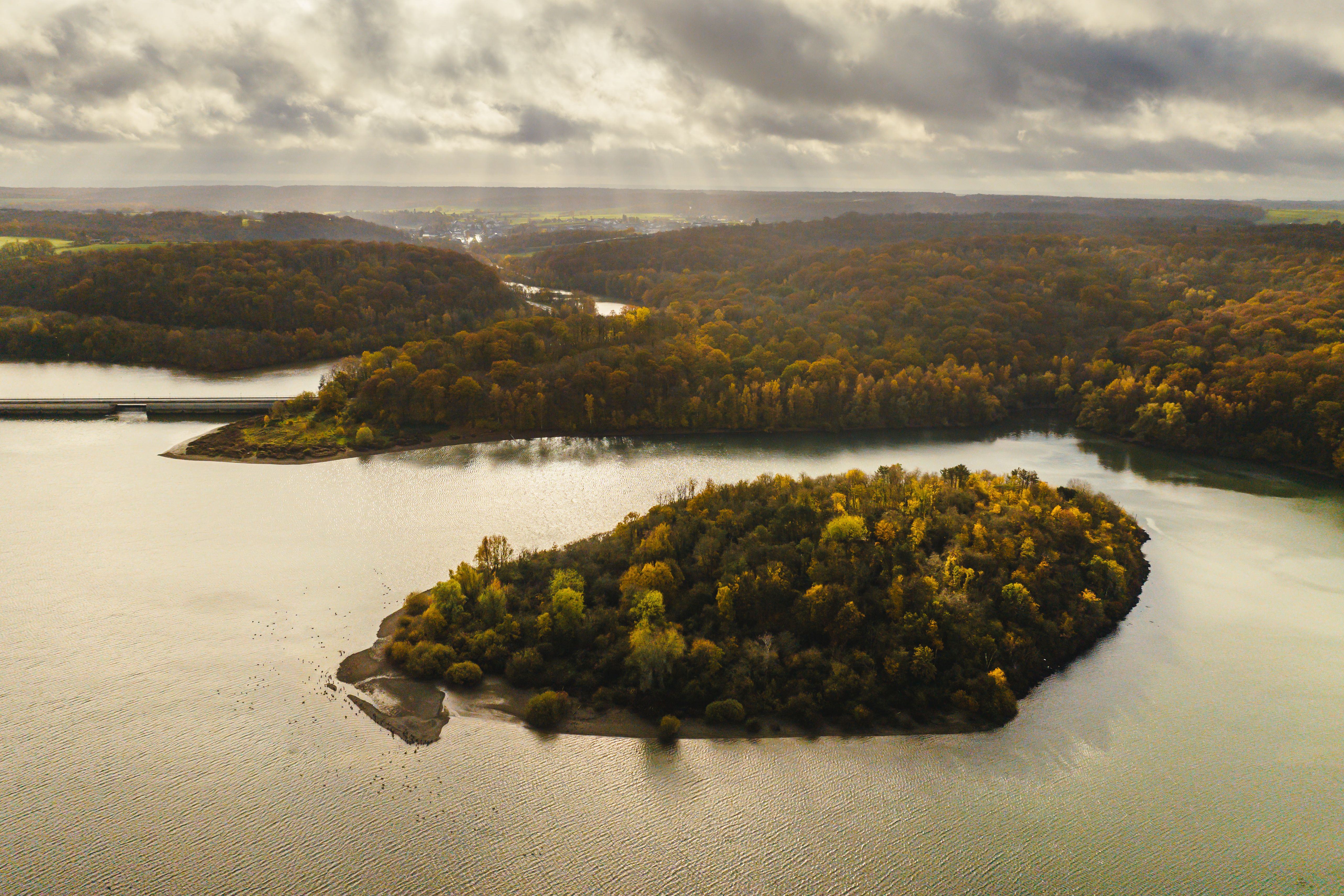 Parc national de l'entre-membre et Meuse, ambiances d'automne Lac de l'eau d'heure