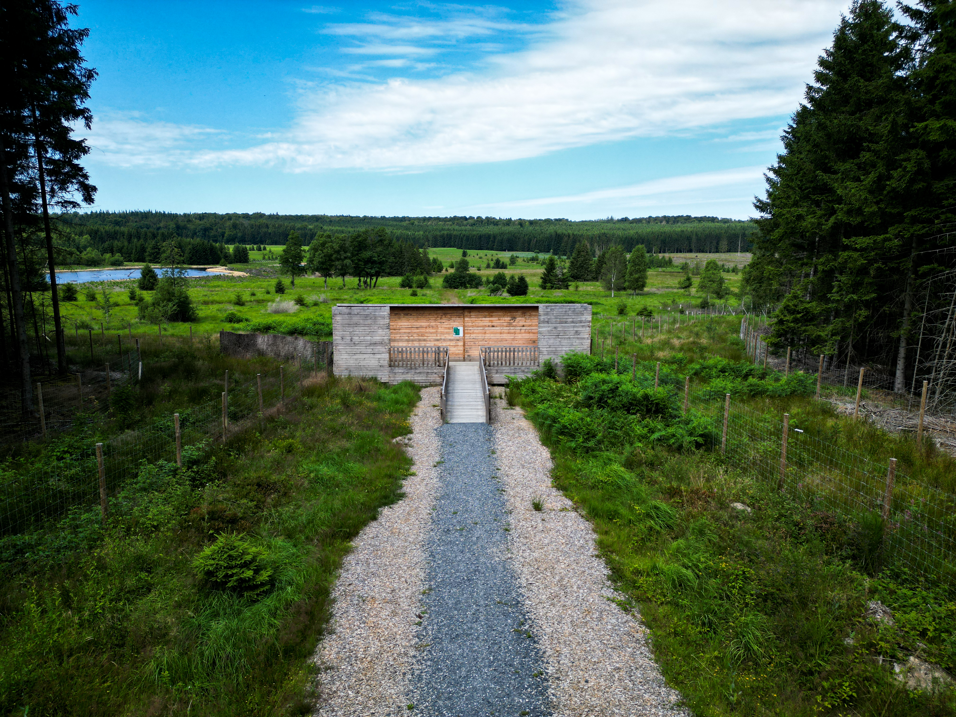 forêt de Saint-Hubert