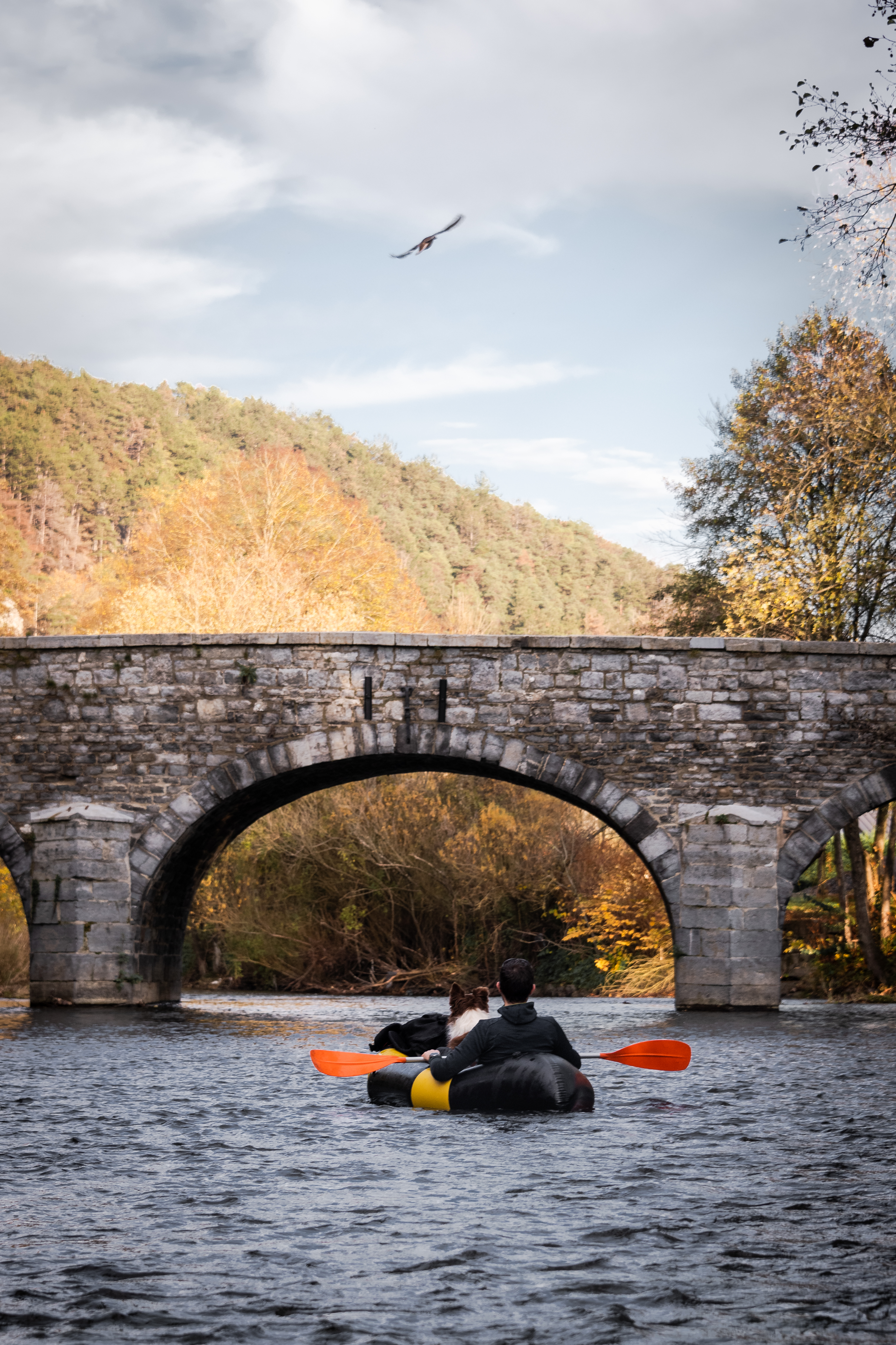 Packraft et chien sur le Viroin