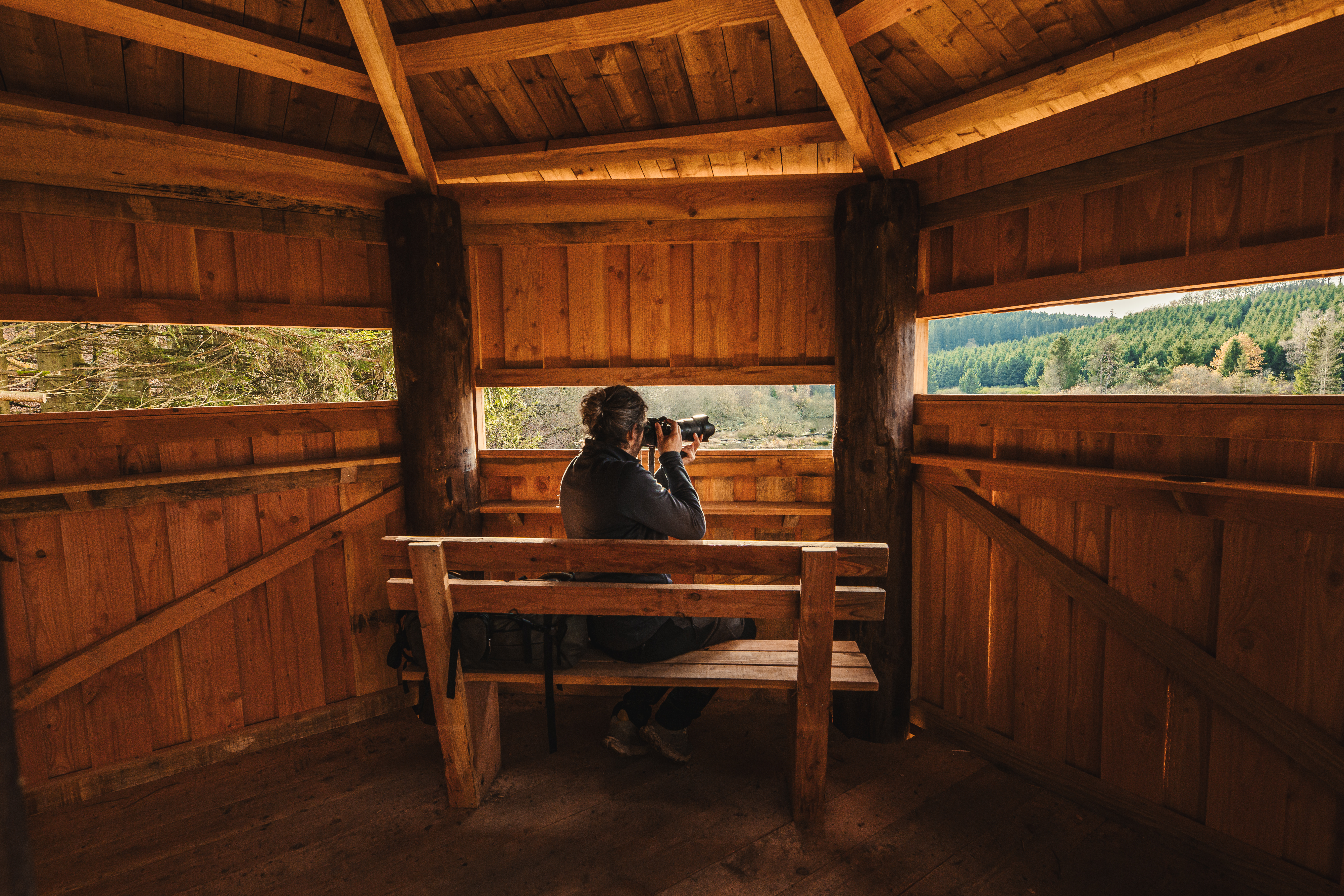Observatoire de la faune en forêt d'Anlier