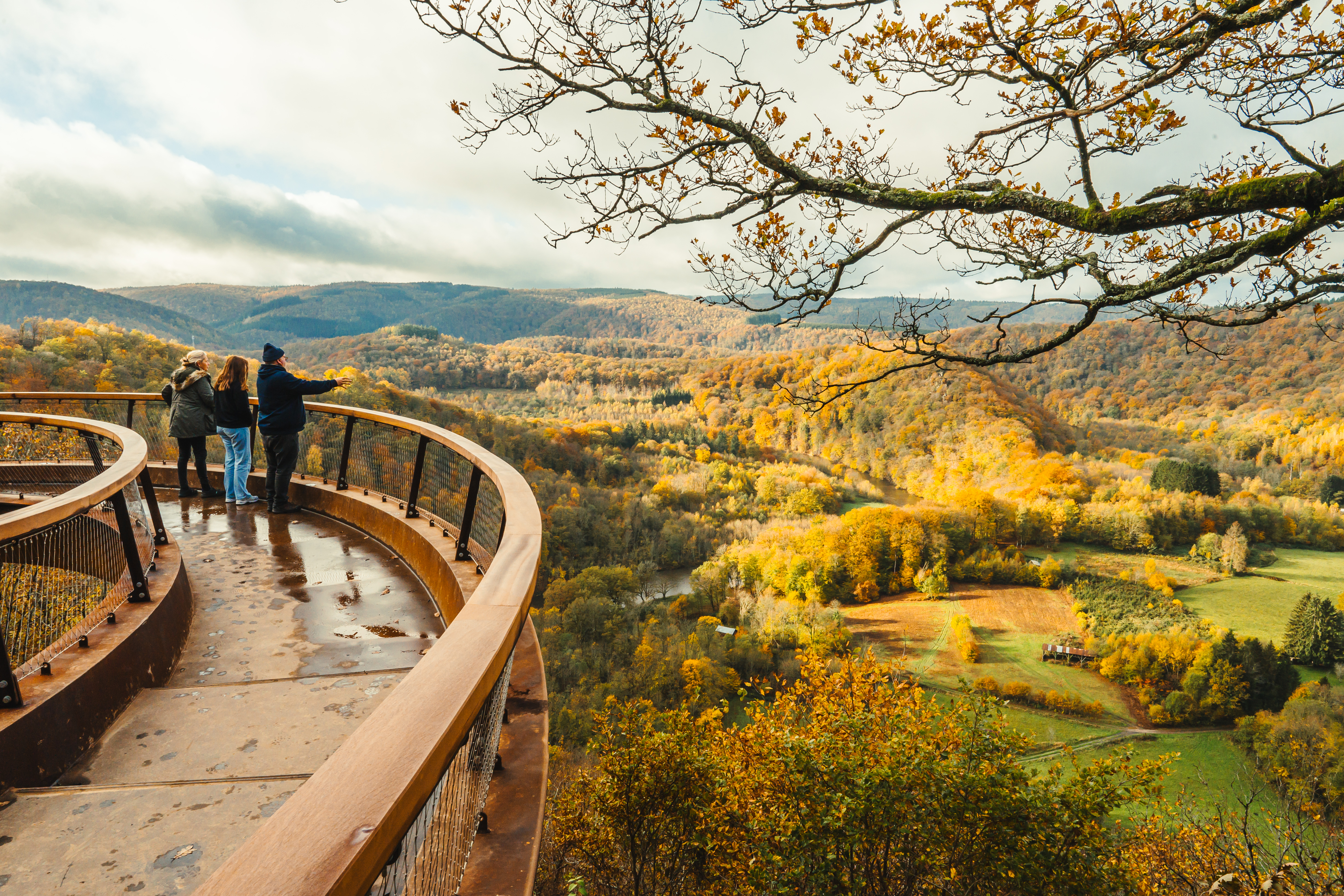 Point de vue du Jambon, vallée de la Semois, en automne