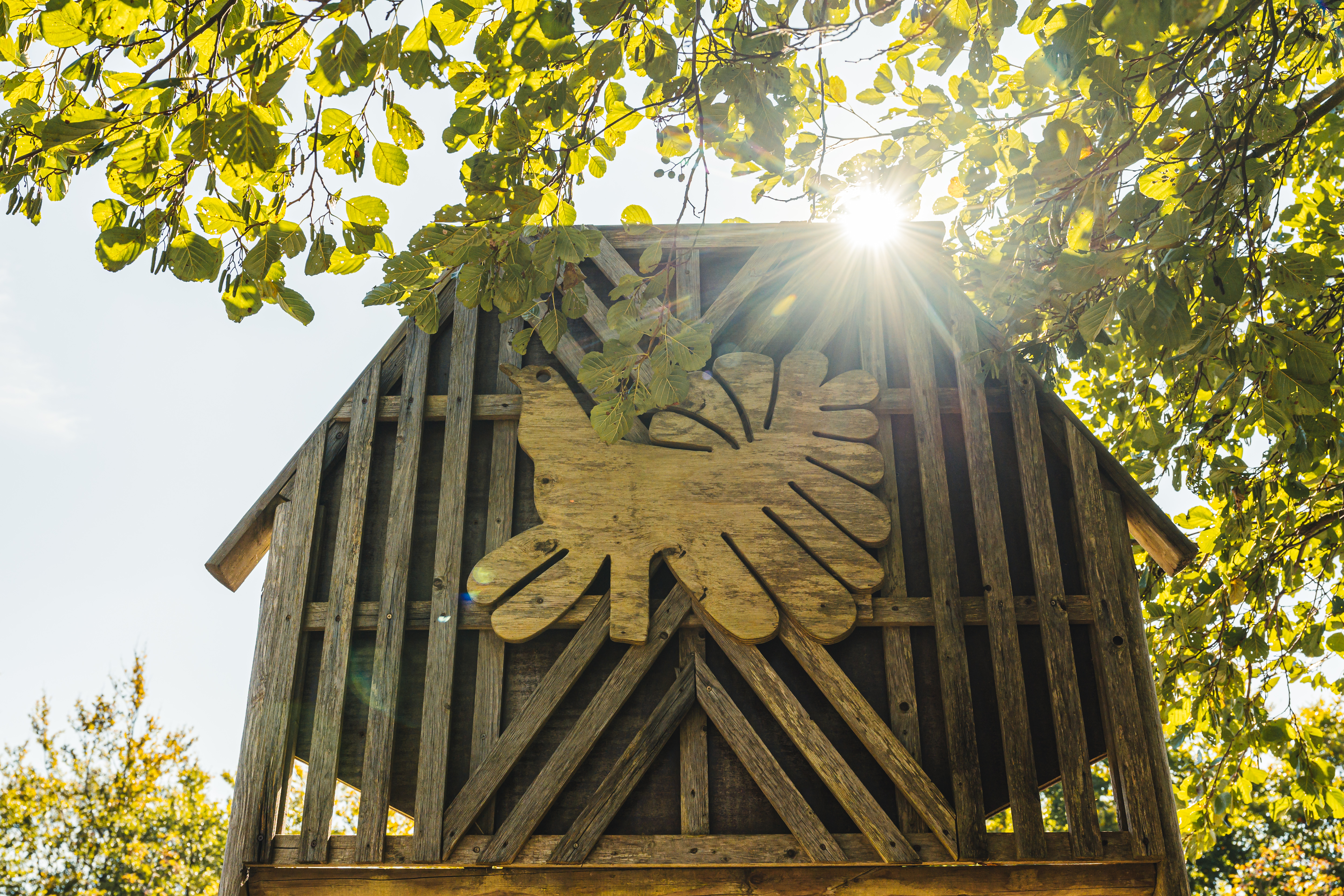 Signal de Botrange - Maison du Parc