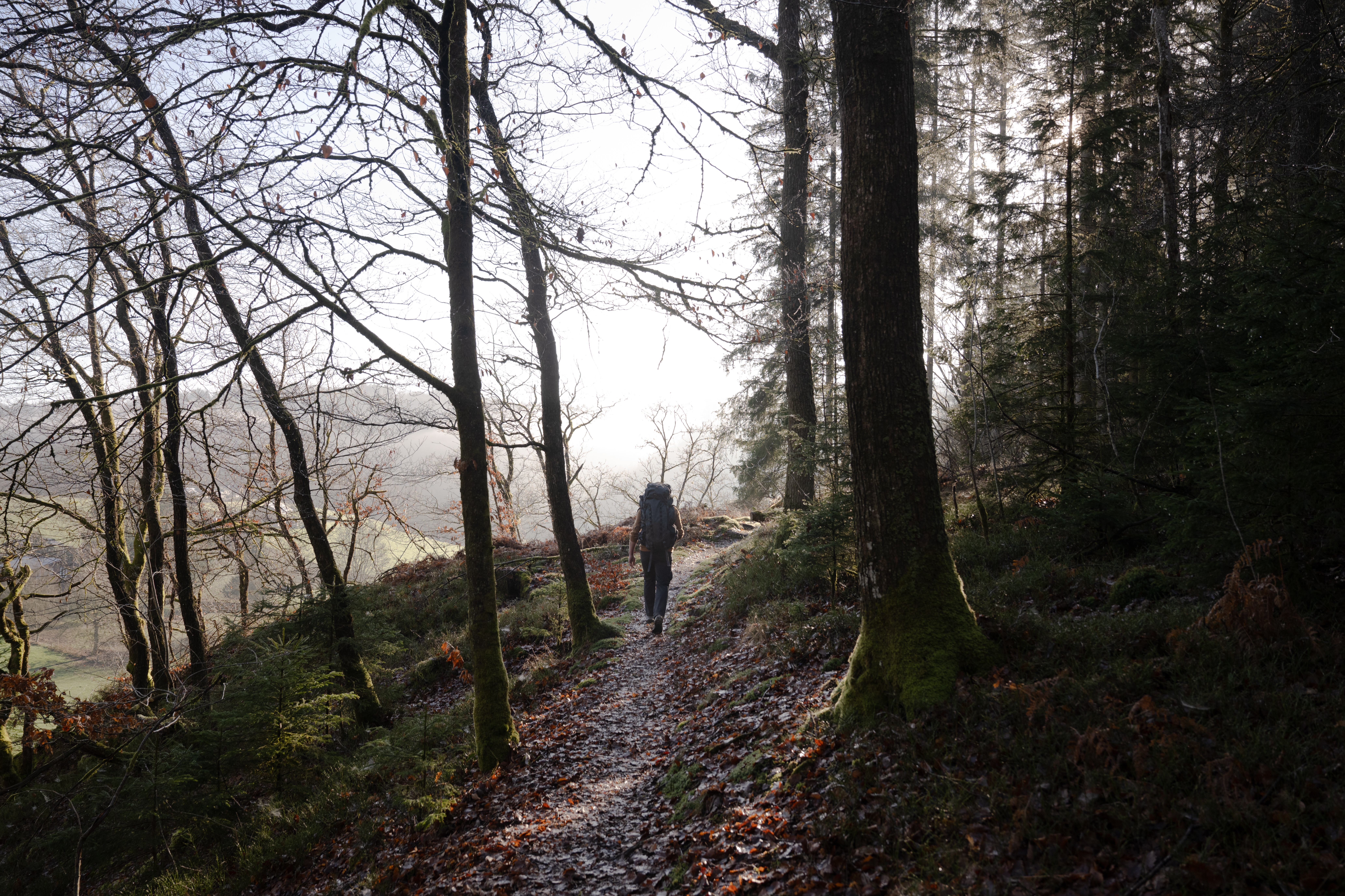 Randonneur sur le sentier des points de vue dans le Parc national de la Vallée de la Semois